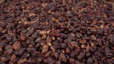 Raisins are rich in dietary fibres, notes Dr Vatsya. (Pexel) Raisins are rich in dietary fibres, notes Dr Vatsya. (Pexel)