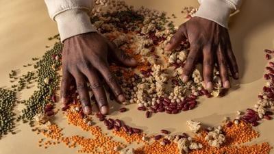 Read more to find out protein and fibre rich foods to add to your daily diet! (Pexel) Read more to find out protein and fibre rich foods to add to your daily diet! (Pexel)