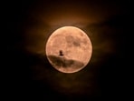 Despite social media posts referring to a "red moon," NASA says a normal Strawberry Moon does not naturally turn red. (PTI Photo)(PTI06_29_2026_000469B)