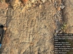 The image shared by environmentalists who made the discovery during a walk on June 24. (Courtesy: Chetan Agarwal)