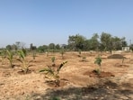 Godrej Properties Ltd. has acquired a 47-acre land parcel for a plotted residential project with a developable potential of around 1.2 million sq ft. (Photo for representational purposes only)