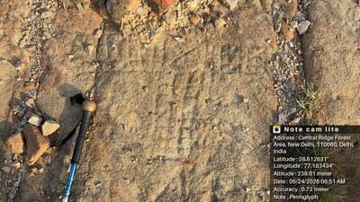 The image shared by environmentalists who made the discovery during a walk on June 24. (Courtesy: Chetan Agarwal) The image shared by environmentalists who made the discovery during a walk on June 24. (Courtesy: Chetan Agarwal)