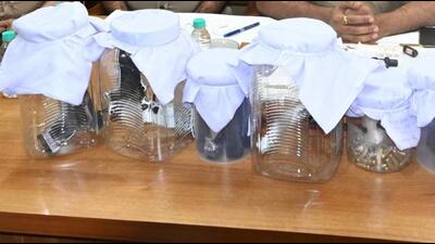 The seized material displayed by police officials