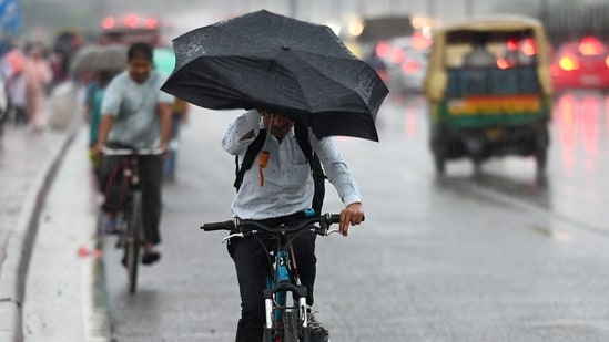 Heat peaks as capital swelters, feels-like temperature hits 53.5°C. (HT Photo)