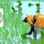 రైతు భరోసా స్కీమ్ 