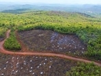The department has also begun creating permanent infrastructure for the personnel deployed in the forests. (HT picture)