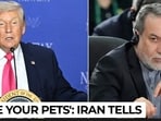 'Muzzle your pets or...': Araghchi's warning for Trump as Israel defies US again 'Muzzle your pets or...': Araghchi's warning for Trump as Israel defies US again