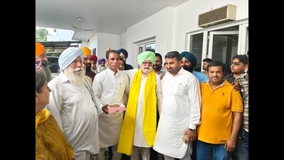 The results of the civic body polls were declared on May 29, with Congress winning 31 of 50 wards in Kapurthala, while AAP secured 11 seats. (HT File)