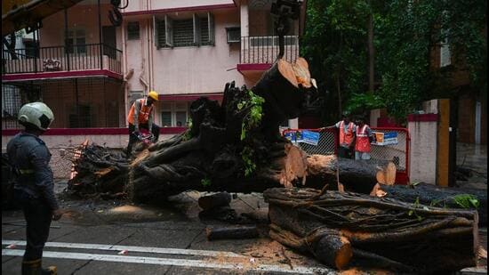 Mumbai, India. June 30, 2026 - Vihan Srivastav, an 11-year-old student, died, and four other children were injured when a large tree collapsed onto their school bus on Road No 11 in Chembur, Mumbai, India. June 30, 2026. (Photo by Raju Shinde/HT Photo) (Raju Shinde)