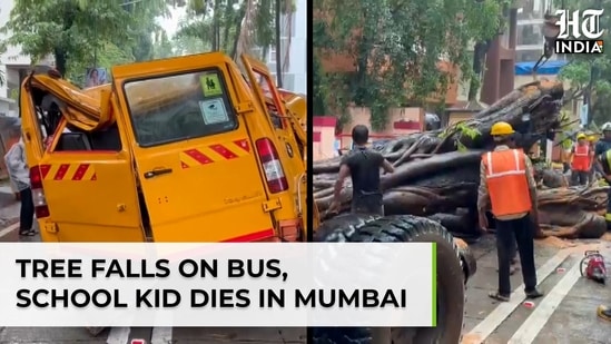 Tree falls on bus, school kid dies in Mumbai: watch Mayor's response