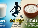 పాలు వర్సెస్​ పెరుగు- గట్​ హెల్త్, వెయిట్​ లాస్​కి ఏది బెస్ట్?(AI generated Image)