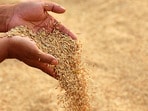 తెలంగాణలో ధాన్యం సేకరణ
