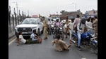 At around 11.30am, family members of the deceased, along with locals, staged a protest on the nearby NH-9 for about 45 minutes, demanding a strict action against the suspects. (Sakib Ali/HT Photo)