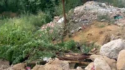 According to residents, on Wednesday afternoon, they saw an earthmover uprooting trees near the C&D site. (HT) According to residents, on Wednesday afternoon, they saw an earthmover uprooting trees near the C&D site. (HT)