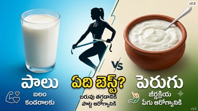పాలు వర్సెస్ పెరుగు- గట్ హెల్త్, వెయిట్ లాస్కి ఏది బెస్ట్? (AI generated Image) పాలు వర్సెస్ పెరుగు- గట్ హెల్త్, వెయిట్ లాస్కి ఏది బెస్ట్? (AI generated Image)