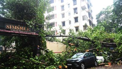 Mumbai, India – 02 July 2026: Heavy rainfall in Mumbai led to a tree being uprooted near Churchgate Station, causing disruption in the area. The incident is part of widespread rain-related issues across the city, with authorities responding to clear affected roads and manage traffic flow, in Mumbai, India, on Thursday, 02 July 2026. (Photo by Bhushan Koyande/HT Photo)