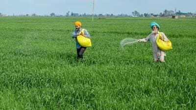 Panwar said that to prevent malpractices, workers will have biometric attendance at the workplace. (HT Photo for representation)