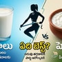 పాలు వర్సెస్​ పెరుగు- గట్​ హెల్త్, వెయిట్​ లాస్​కి ఏది బెస్ట్?
