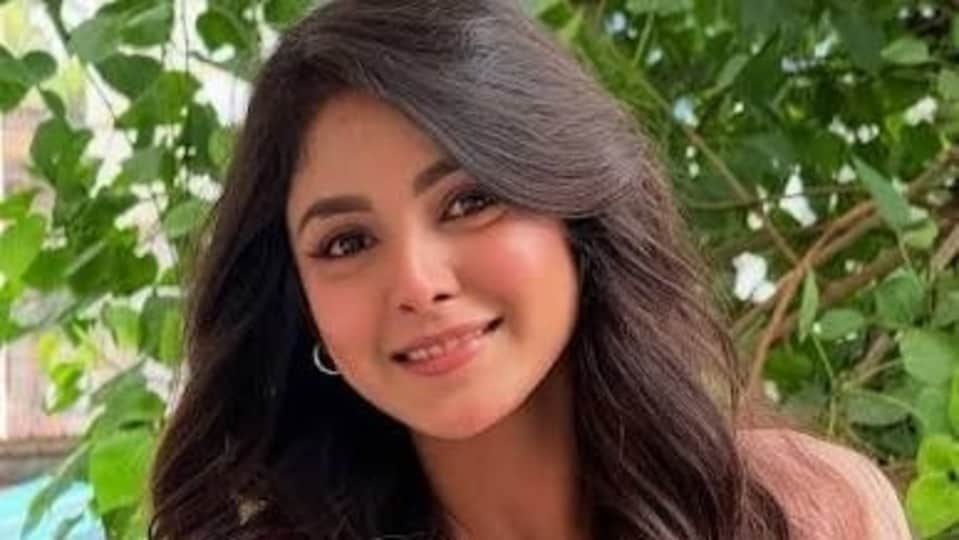 সিরিয়ালের গণ্ডি পেরিয়ে ওয়েব সিরিজে পদার্পণ শার্লির