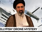 Iran's 'jellyfish' drone swarm explained; did Putin & Xi help build Tehran's deadly new weapon? Iran's 'jellyfish' drone swarm explained; did Putin & Xi help build Tehran's deadly new weapon?