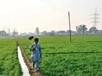 Eligible landowners will also receive one priority tubewell connection, while farmers participating in the policy will be eligible for allotment of plots at preferential locations, the spokesperson said.