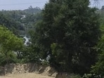 The order was passed on Wednesday by the Central Zone Bench of the NGT at Bhopal in response to a petition filed by Pawan Singh (Representative photo)