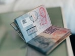 An Indian applicant for a Master's at the University of Maryland described their shock at an F-1 visa denial after a brief interview, where few questions were asked.(Unsplash)