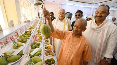 Chief minister Yogi Adityanath shows a large mango during the inauguration of UP Aam Mahotsav organised at Indira Gandhi Pratishthan in Lucknow on Friday. (Deepak Gupta/HT) Chief minister Yogi Adityanath shows a large mango during the inauguration of UP Aam Mahotsav organised at Indira Gandhi Pratishthan in Lucknow on Friday. (Deepak Gupta/HT)