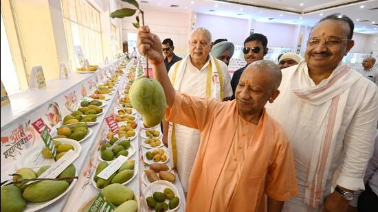 Chief minister Yogi Adityanath shows a large mango during the inauguration of UP Aam Mahotsav organised at Indira Gandhi Pratishthan in Lucknow on Friday. (Deepak Gupta/HT)