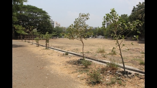 The PMC has earmarked ₹3 crore from its budget for joint forestry initiatives under which, various afforestation and urban greening projects will be implemented. (REPRESENTATIVE PHOTO)
