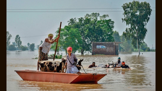 The floods in August 2025 had left the worst-hit pockets of Kapurthala’s low-lying Mand area waterlogged for over 50 days. (AFP)