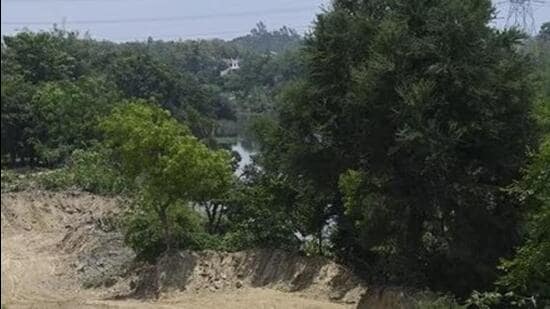 The order was passed on Wednesday by the Central Zone Bench of the NGT at Bhopal in response to a petition filed by Pawan Singh (Representative photo)