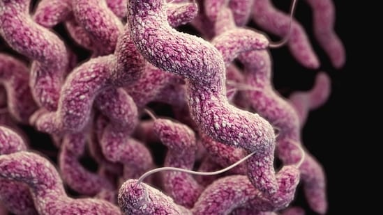 Dr Adamala worked from the bottom up rather than the top down. Instead of asking what genes an existing cell could do without, she added genes whose functions were known to inanimate bubbles of fatty membrane called liposomes. (Unsplash/Representative)