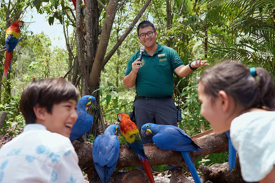 Explore Mandai Wildlife Reserve for unforgettable wildlife encounters and nature adventures together. (Mandai Wildlife Reserve) Explore Mandai Wildlife Reserve for unforgettable wildlife encounters and nature adventures together. (Mandai Wildlife Reserve)
