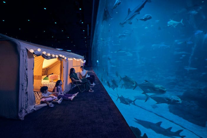 Discover fascinating marine life at Singapore Oceanarium through immersive underwater experiences. (Official Website Singapore Oceanarium) Discover fascinating marine life at Singapore Oceanarium through immersive underwater experiences. (Official Website Singapore Oceanarium)