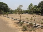 The PMC has earmarked  <span class='webrupee'>₹</span>3 crore from its budget for joint forestry initiatives under which, various afforestation and urban greening projects will be implemented. (REPRESENTATIVE PHOTO)
