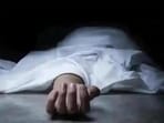 Victims included two women in Pratapgarh, a farmer in Prayagraj and a contractual lineman who succumbed to injuries suffered nearly two-and-a-half months ago. (For representation only)
