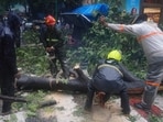 Mumbai rain highlights: Rescuers removing tree after it crashed and fell onto an autorickshaw in Thane on Saturday