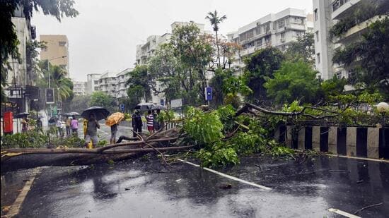 Mumbai, India. July 04, 2026 - Heavy rainfall caused a large tree to collapse on Peddar Road in South Mumbai. The India Meteorological Department (IMD) has issued a red alert for the Mumbai, Thane, and Palghar districts. Mumbai, India. July 04, 2026 (Photo by HT Photo) (Raju Shinde)
