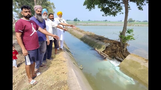The strong and unrestricted water flow has caused the canal embankment to collapse at the same location repeatedly. (HT Photo)