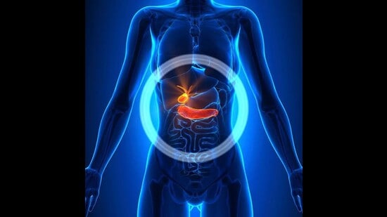 The study warned that if left untreated, the condition carries a latent risk of progressing to gallbladder cancer. (File)