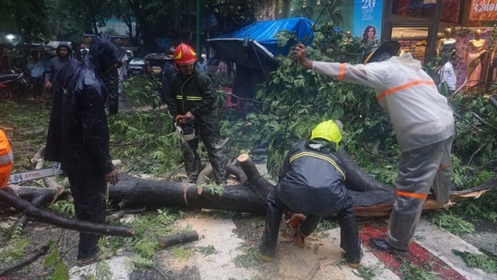 Mumbai rain highlights: Rescuers removing tree after it crashed and fell onto an autorickshaw in Thane on Saturday Mumbai rain highlights: Rescuers removing tree after it crashed and fell onto an autorickshaw in Thane on Saturday