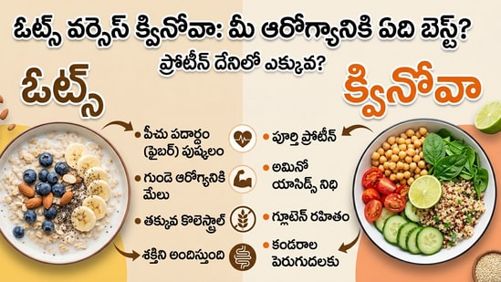హై ప్రోటీన్ డైట్ కోసం ఏది బెస్ట్?