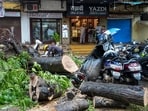 Firefighters cut and removed the fallen tree to clear the debris and secure the area. (PTI)
