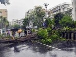 Mumbai, India. July 04, 2026 - Heavy rainfall caused a large tree to collapse on Peddar Road in South Mumbai. The India Meteorological Department (IMD) has issued a red alert for the Mumbai, Thane, and Palghar districts. Mumbai, India. July 04, 2026 (Photo by HT Photo) (Raju Shinde)