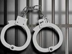 On July 2, a case under Section 303(2) of the Bharatiya Nyaya Sanhita (BNS) was registered at Phase-11 police station. (HT File)