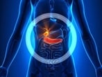 The study warned that if left untreated, the condition carries a latent risk of progressing to gallbladder cancer. (File) The study warned that if left untreated, the condition carries a latent risk of progressing to gallbladder cancer. (File)