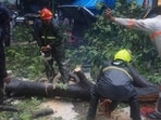 Rescuers removing tree after it crashed and fell onto an autorickshaw in Thane, representational image.