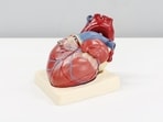 A heart surgeon says this matters more than cutting sugar or fat.