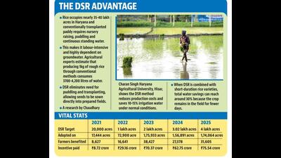 Agriculture minister Shyam Singh Rana says that the DSR technique is very effective to conserve groundwater while reducing the cost of paddy cultivation. (HT Photo)